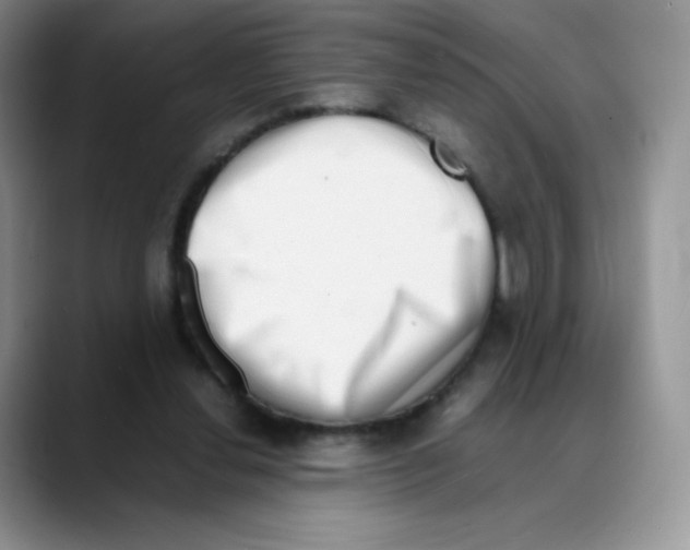 X0000088070252200706081715