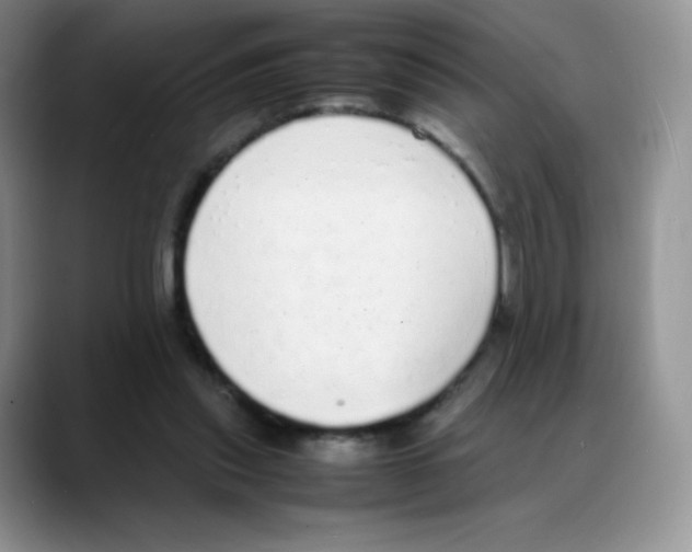 X0000088070253200706081715