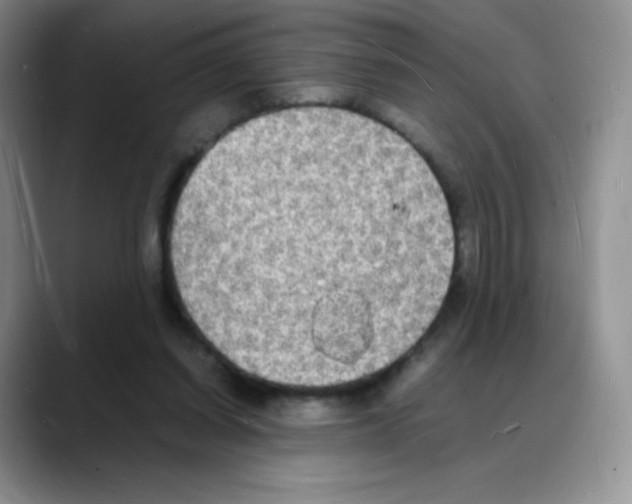 X0000088070254200706081715