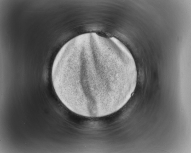 X0000088070255200706081715