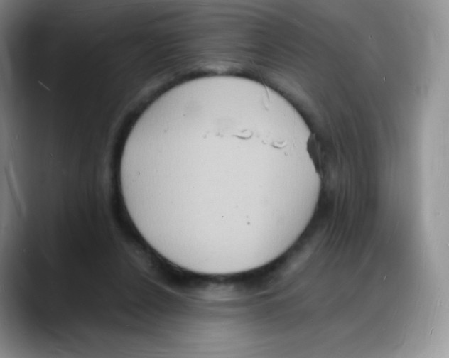X0000088070256200706081715