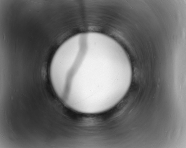 X0000088070259200706081715