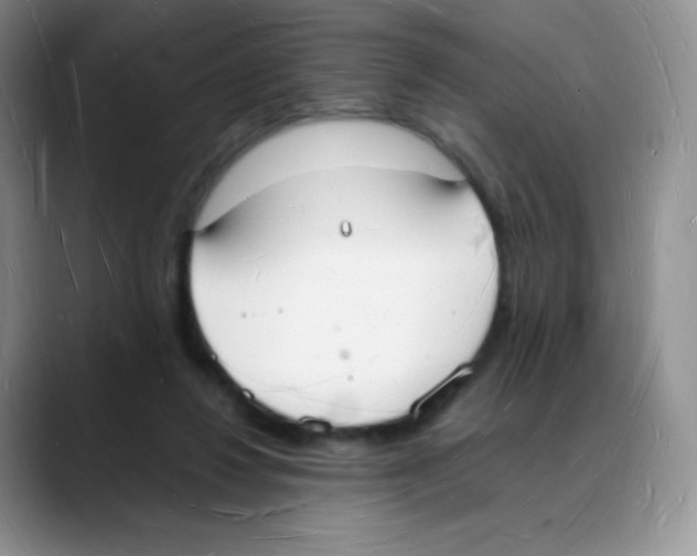 X0000088070260200706081715
