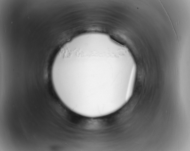 X0000088070261200706081715