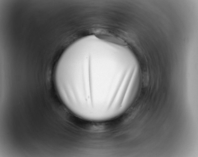 X0000088070263200706081715