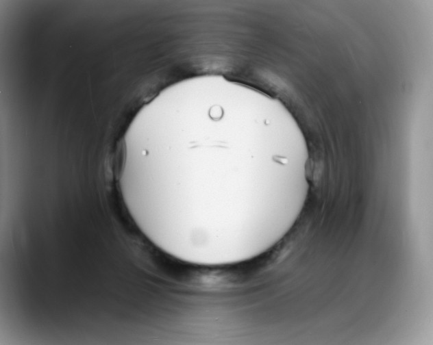 X0000088070264200706081715