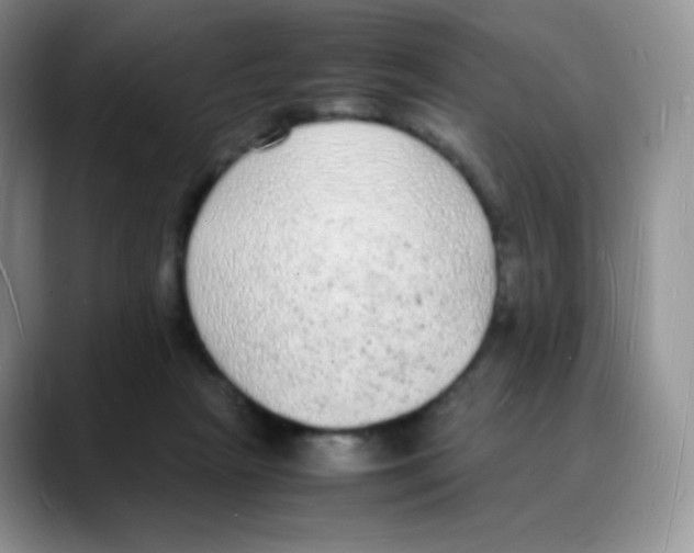 X0000088070265200706081715