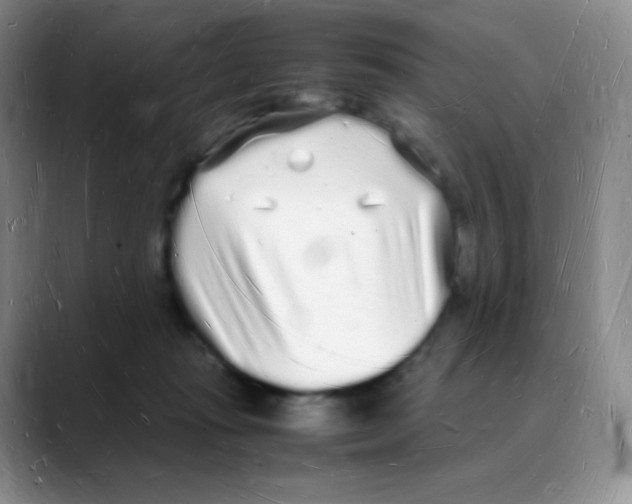 X0000088070269200706081715