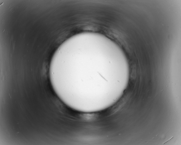 X0000088070273200706081715