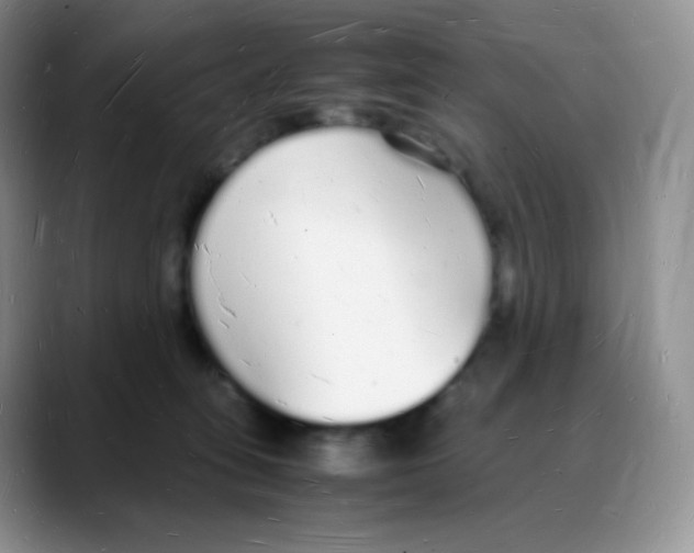 X0000088070275200706081715
