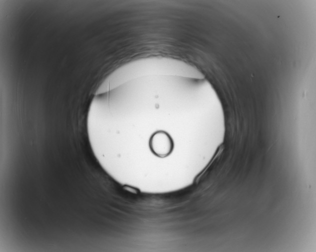 X0000088070276200706081715