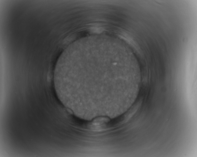 X0000088070277200706081715