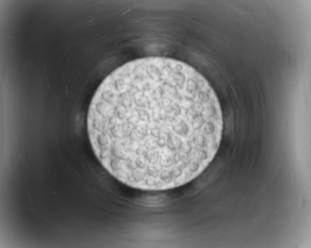 X0000088070278200706081715