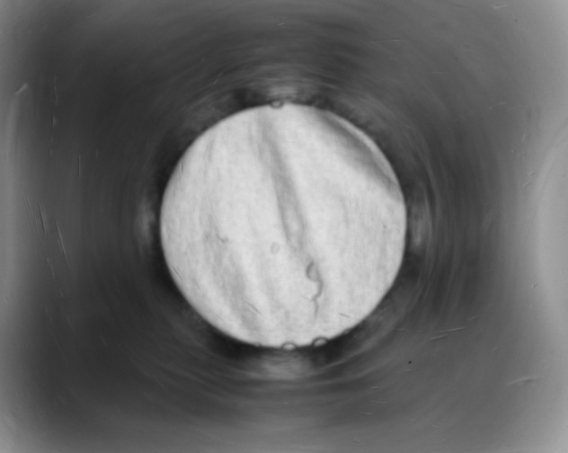 X0000088070279200706081715