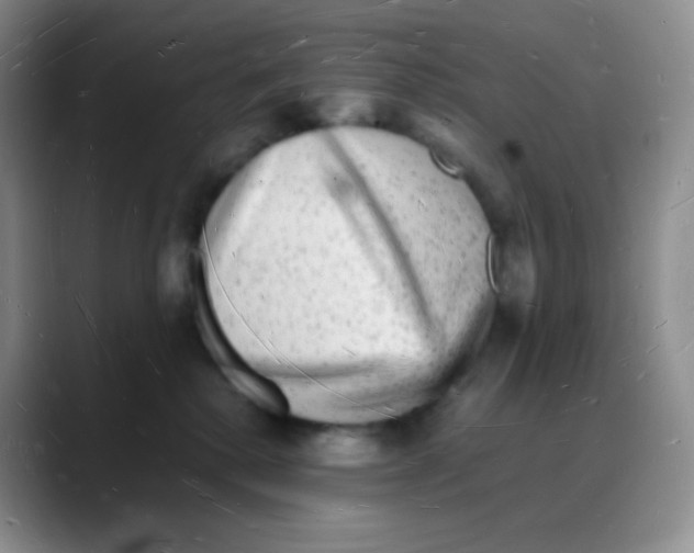 X0000088070280200706081715