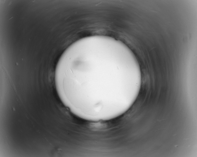 X0000088070281200706081715