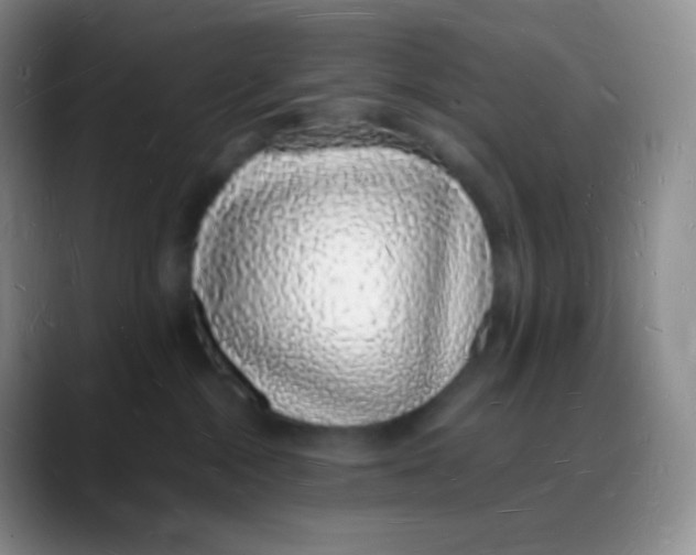 X0000088070284200706081716