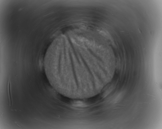 X0000088070285200706081716