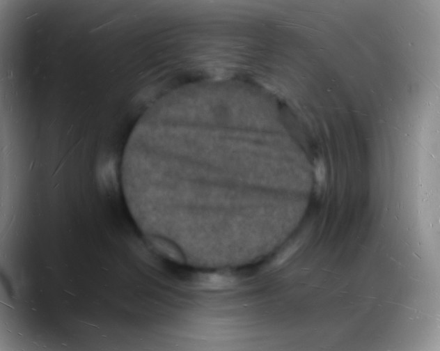 X0000088070286200706081716