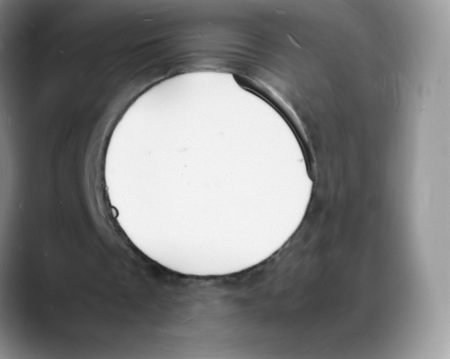 X0000088070289200706081715