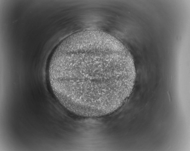 X0000088070290200706081715
