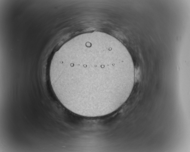 X0000088070291200706081715