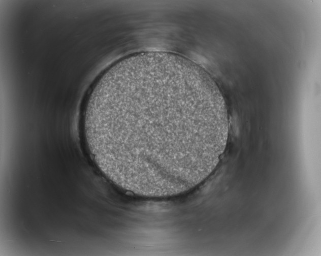 X0000088070292200706081715