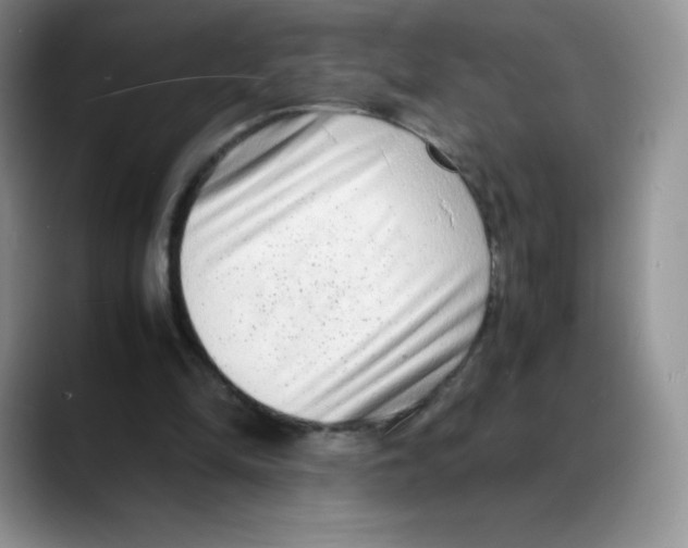 X0000088070294200706081715