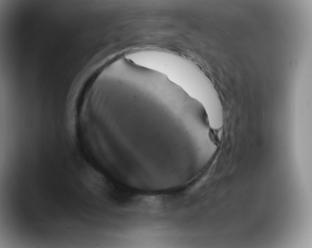 X0000088070295200706081715