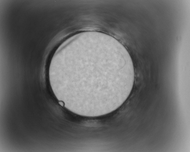 X0000088070296200706081715