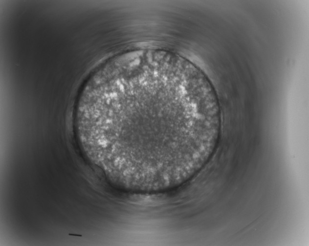 X0000088070297200706081715