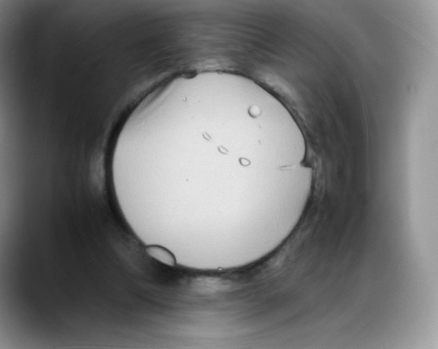 X0000088070298200706081715