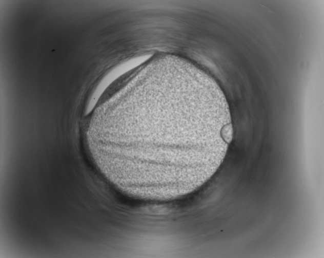 X0000088070299200706081715