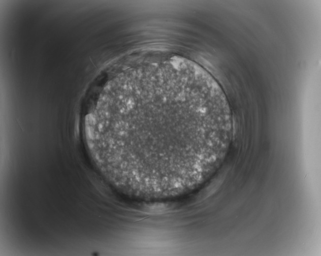 X0000088070301200706081715
