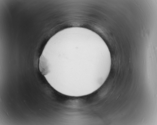 X0000088070307200706081715