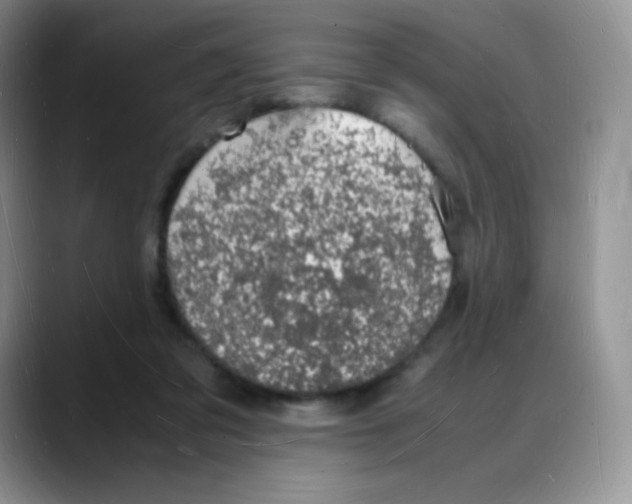 X0000088070309200706081715