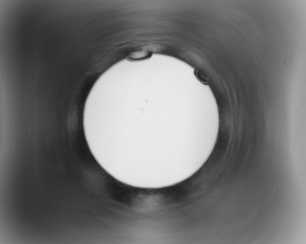 X0000088070311200706081715