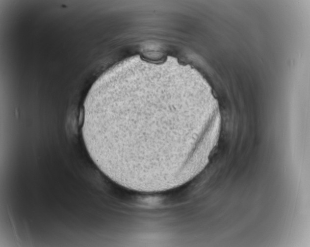 X0000088070313200706081715