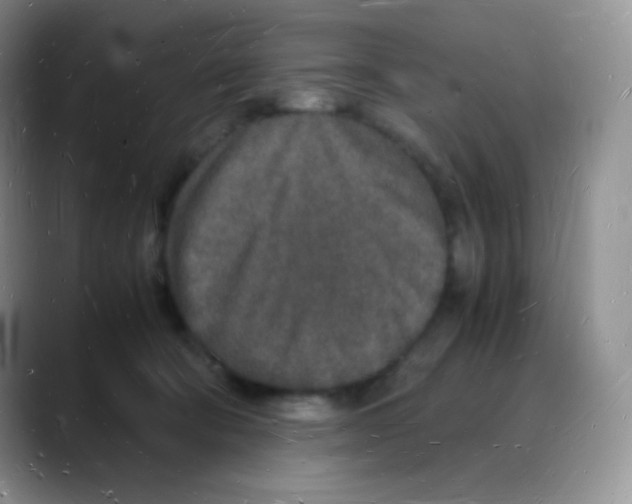 X0000088070322200706081715