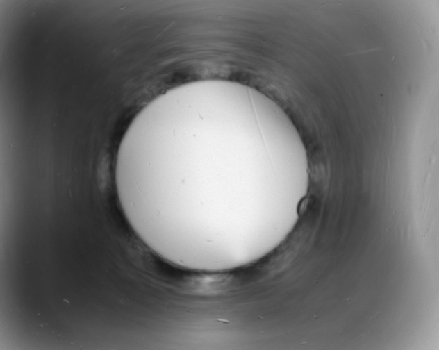X0000088070323200706081715