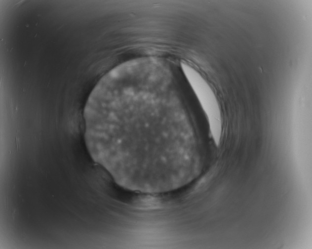X0000088070325200706081714