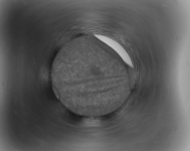 X0000088070331200706081714