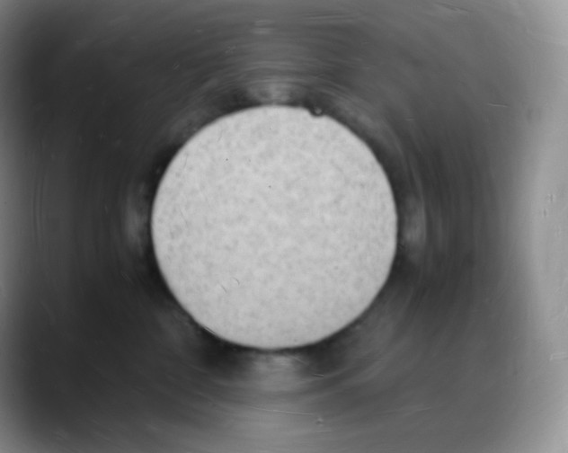 X0000088070332200706081714