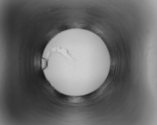 X0000088070334200706081714