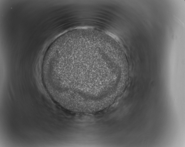 X0000088070337200706081714
