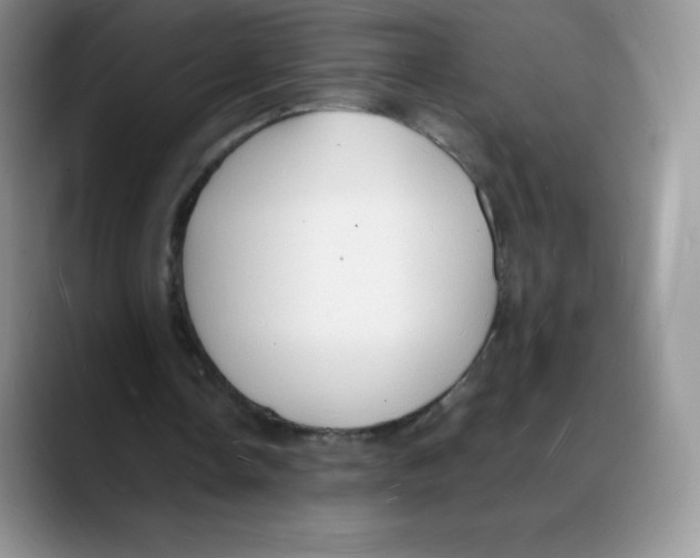 X0000088070338200706081714