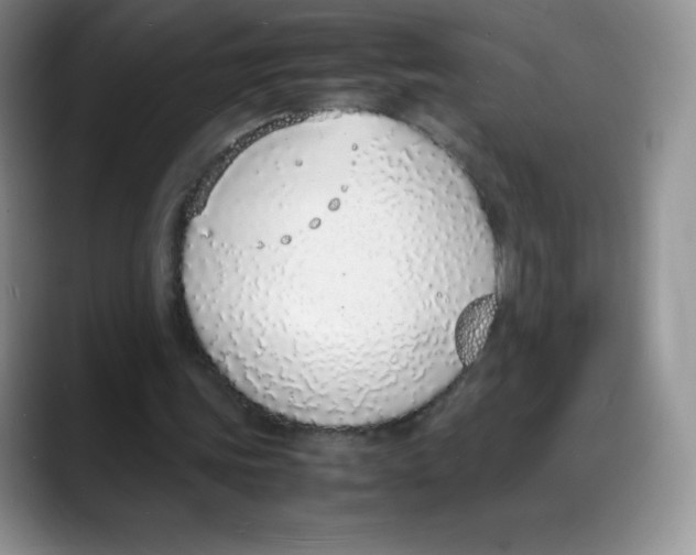 X0000088070339200706081714