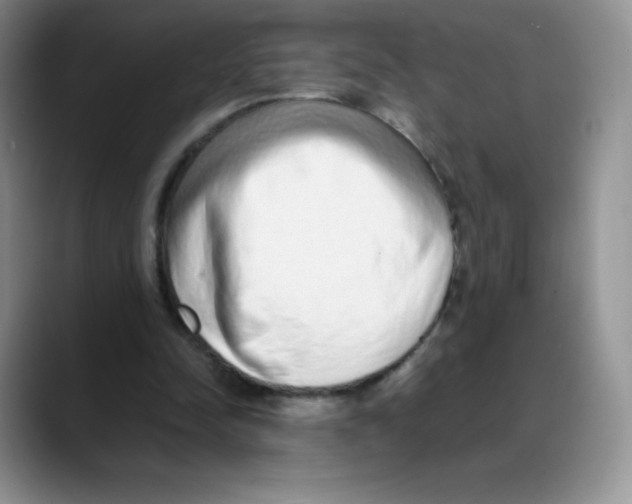 X0000088070342200706081714
