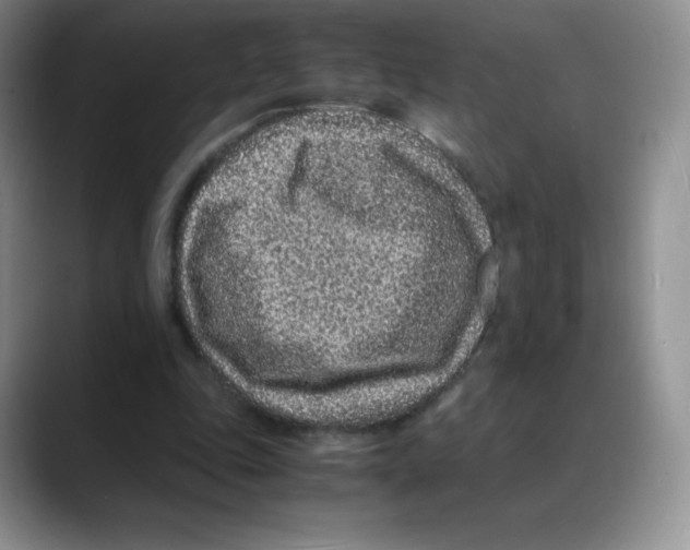 X0000088070343200706081714