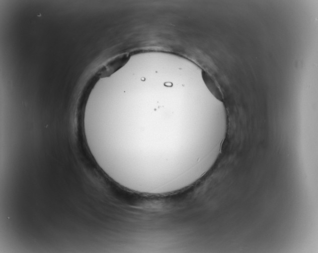 X0000088070344200706081714